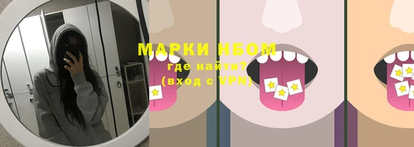 прущие грибы Михайлов